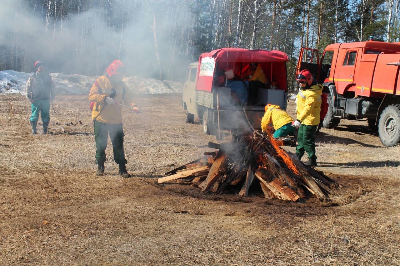 Сайт депнедра хмао. Пожар в лесу. Пожароопасный период. Пожарные тушат лес. Потушенный Лесной пожар.