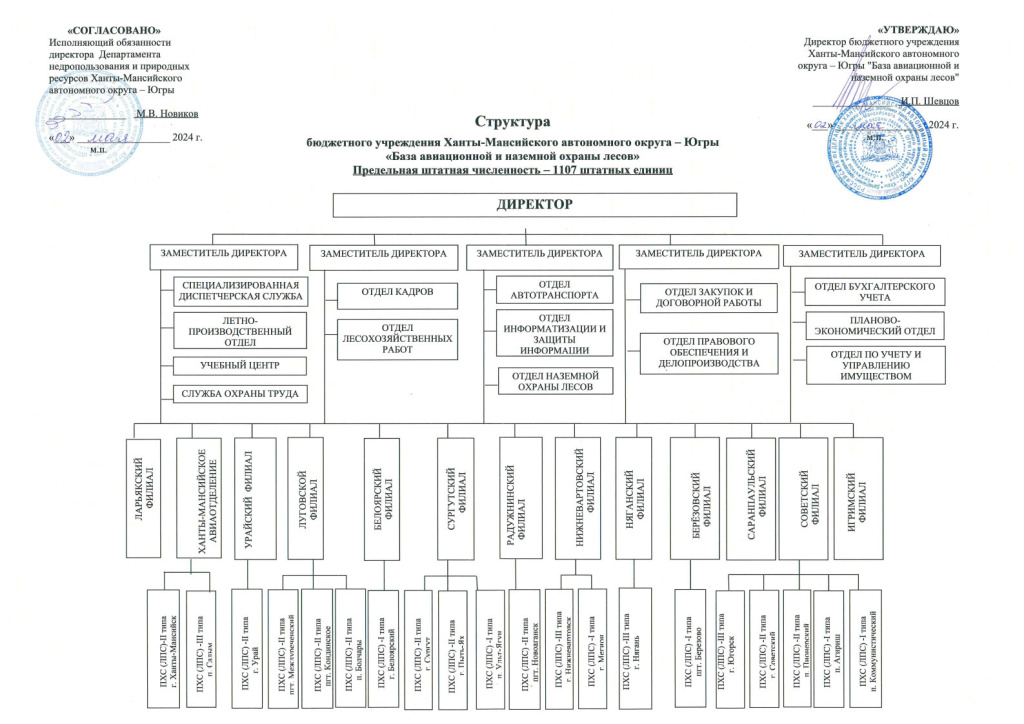 Структура учреждения 2024.jpg