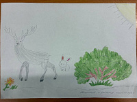 4 Животные и растения нашего края Ковыляева Варвара, 8 лет.jpg