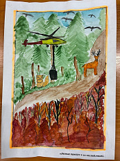 8 Лесные пожары и их последствия Елфимов Ефим, 11 лет.jpg