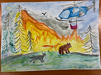 1 Лесные пожары и их последствия Токавеева Лиана, 12 лет.jpg