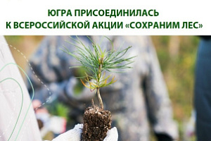 Восстановим лес: приглашаем на центральное мероприятие всероссийской акции «Сохраним лес»