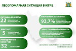 За прошедшую неделю – с 2 по 8 июня, в Югре ликвидировано 22 лесных пожара на площади, пройденной огнем 353 га, и одно ландшафтное возгорание в Березовском районе на площади 12,6 га