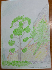 5 Спасем лес от пожаров Шиляев Алексей, 10 лет.jpg