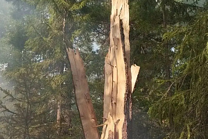 Вчера во второй половине дня лётчик-наблюдатель Нижневартовского авиаотделения Марина Гончар оперативно высадила группу парашютистов-пожарных Олега Кулова.