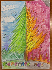 4 Беригите лес Ведров Илья, 12 лет.jpg