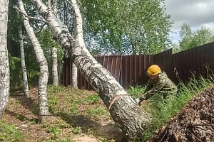 Безопасность лесов и оперативность реагирования начинаются с качественной подготовки на земле. Сотрудники Луговского авиаотделения провели комплекс необходимых работ на своей базе.