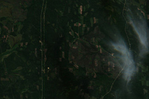 Использование ИИ для анализа космических снимков позволило обнаруживать незаконные рубки на 63% быстрее