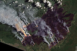 Скорость ликвидации лесных пожаров напрямую зависит от оперативности их обнаружения