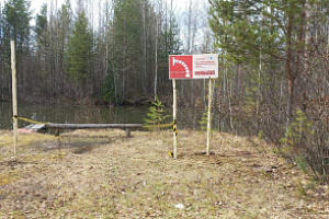 Наиболее освещаемой частью работы Авиалесоохраны Югры в пожароопасный сезон является борьба с огнём. Но за кадром остаётся огромный труд - превентивные противопожарные мероприятия