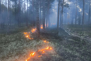 Середина сентября. Радужнинский район. Нижневартовские парашютисты группы Олега Кулова ликвидировали пожар, площадь которого составила 71 гектар.