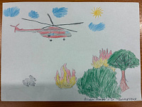 5 Лесные пожары и их последствия Ковыляев Роман, 12 лет.jpg