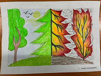 7 Лесные пожары и их последствия Даутов Савелий, 11 лет.jpg