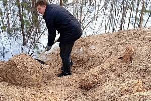 Подготовка к сезону лесохозяйственных работ в Няганском авиаотделении идёт полным ходом, а самый важный этап для саженцев сейчас — не посадка, а правильное хранение.