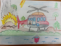 5 Лесные пожары и их последствия Бабенко Александр, 6 лет.jpg