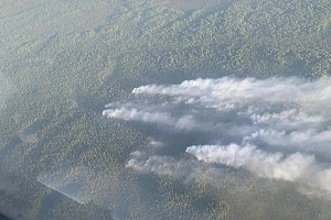 На территории Юганского государственного природного заповедника был обнаружен лесной пожар.