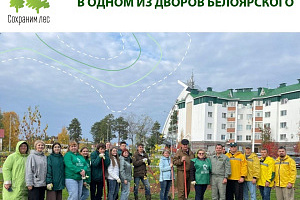 Югра сохраняет лес