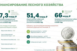 Югра вошла в топ регионов с высоким рейтингом эффективности ведения лесного хозяйства 