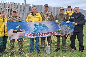 В Белоярском в рамках акции "Сад памяти" высадили более 50 молодых берëз и кедров в честь 81-летия Победы. Эти деревья будут расти, крепнуть и из года в год хранить память о великих подвигах нашего народа.