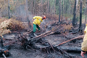 Очередной лесной пожар вблизи Нижневартовска локализован. С огнём оперативно справились совместные силы Авиалесоохраны Югры и МЧС России.