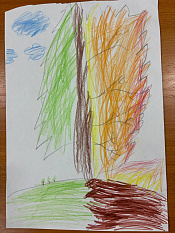 7 Лесные пожары и их последствия Гумеров Камир, 6 лет.jpg