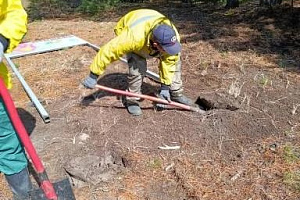 В рамках выполнения государственного задания Кондинская ПХС-II (Луговского авиаотделения) на территории Кондинского участкового лесничества провела противопожарное мероприятие: установили стенд, знаки и указатели, содержащие информацию о мерах пожарной бе