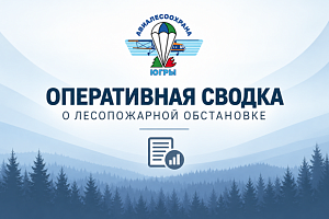 ОПЕРАТИВНАЯ СВОДКА