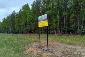 Мы не можем отменить грозы, но свести к минимуму возникшие по вине человека пожары - нам под силу.