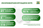 За прошедшую неделю – с 30 июня по 7 июля, в Югре ликвидирован 41 лесной пожар на площади, пройденной огнем 1622,17 га. По предварительным данным, они возникли из-за гроз. Ландшафтные возгорания не зафиксированы
