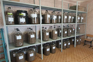 Деятельность Авиалесоохраны Югры многогранна, она сочетает в себе оперативное реагирование на чрезвычайные ситуации с тихой планомерной работой по приумножению природных богатств