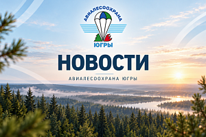 Лесорастительные условия югорской тайги сильно отличаются, и тактика борьбы с огнём меняется от места к месту.
