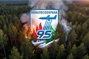 95 лет авиационной охране лесов России!✈️